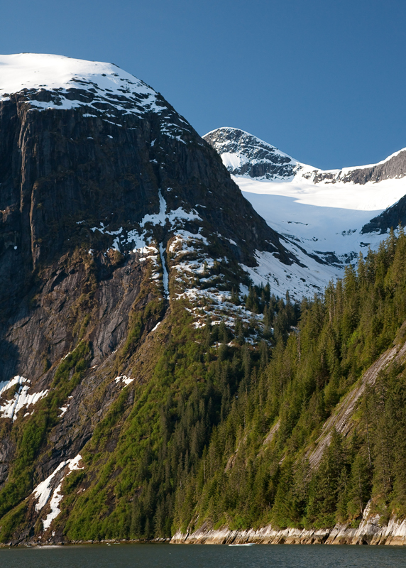 tracy arm-2019 800.jpg