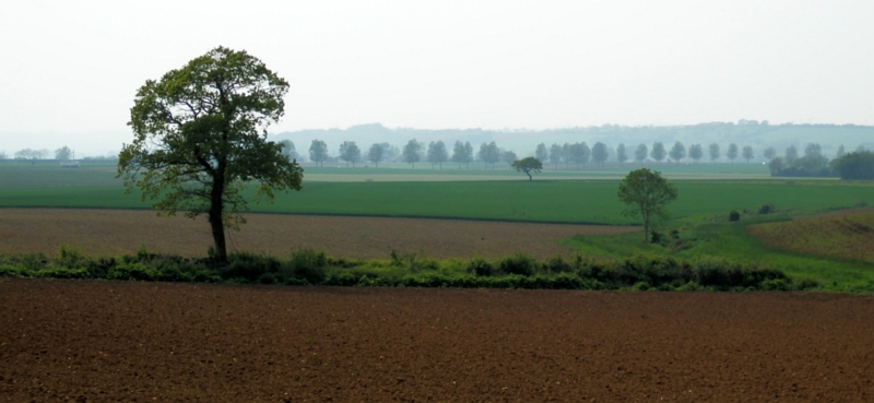Wandeling in de buurt van Le Wast