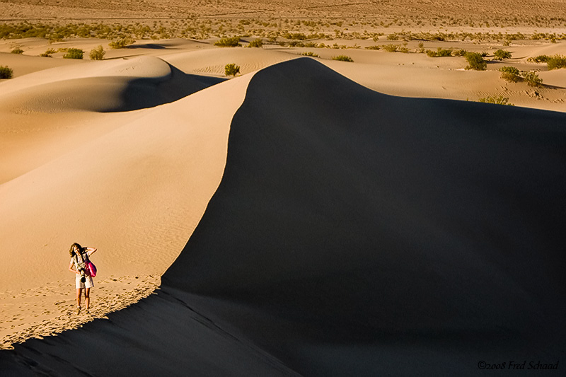 Out on the Dunes