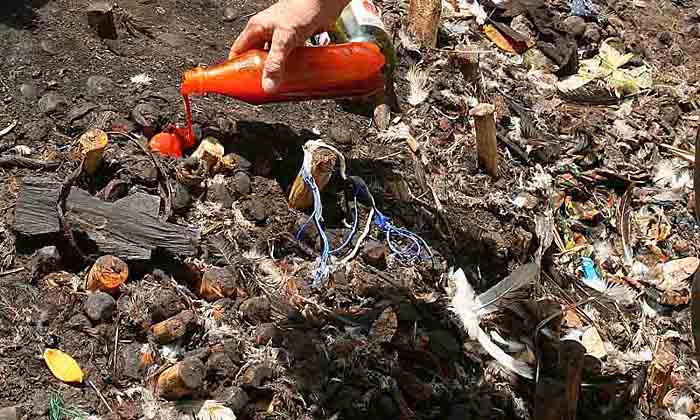 Voodoo. Dankoly. When the pegs are in the ground, palm oil and alcohol are poured over them.