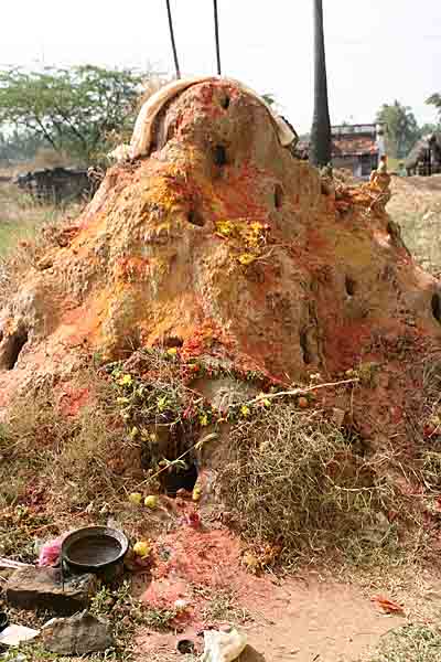 Putru Amman Kovil. http://www.blurb.com/books/3782738