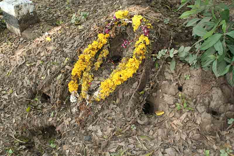 Flowers for the snakes living in old termite hills (putru). http://www.blurb.com/books/3782738