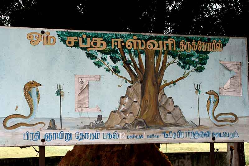 Snake shrine Om Sati between Mamallapuram and Kanchipuram. http://www.blurb.com/books/3782738