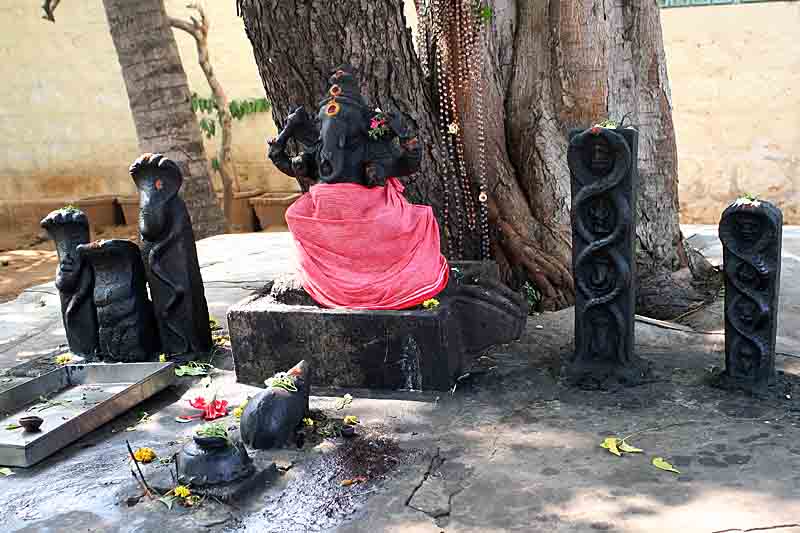 In a Kali temple near Salem. http://www.blurb.com/books/3782738