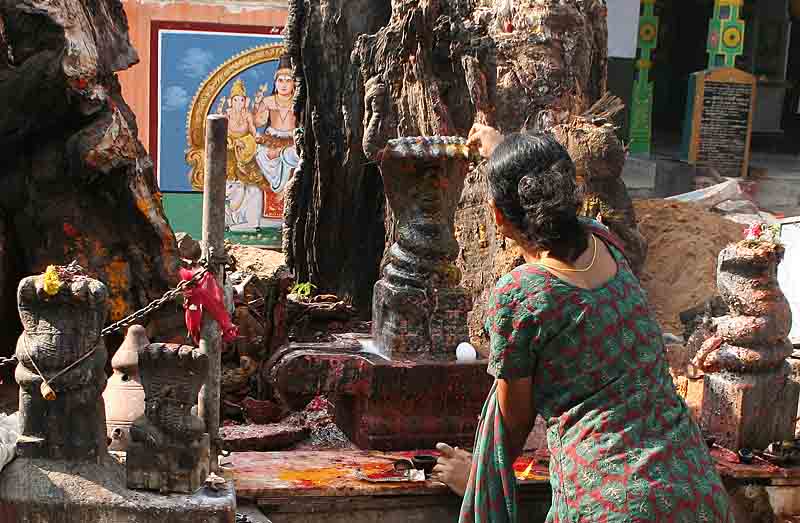 Muthiah Swami Mariamman Temple near Madurai. http://www.blurb.com/books/3782738