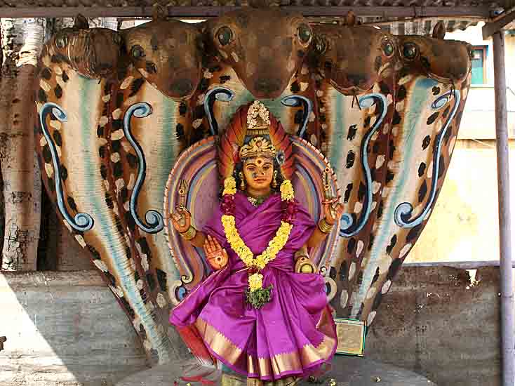 Cholavandan Amman temple. http://www.blurb.com/books/3782738