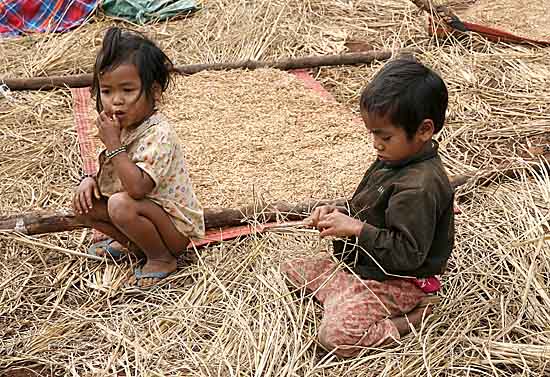 Phnong children in a paddy field. Pu Lang Village II, Mondulkiri, Cambodia