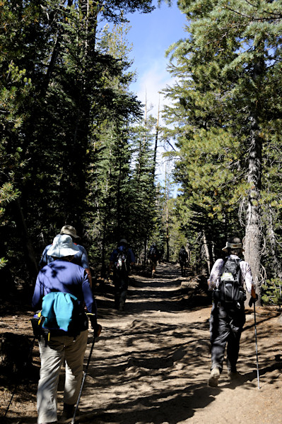 On the Cathedral Lake Trail