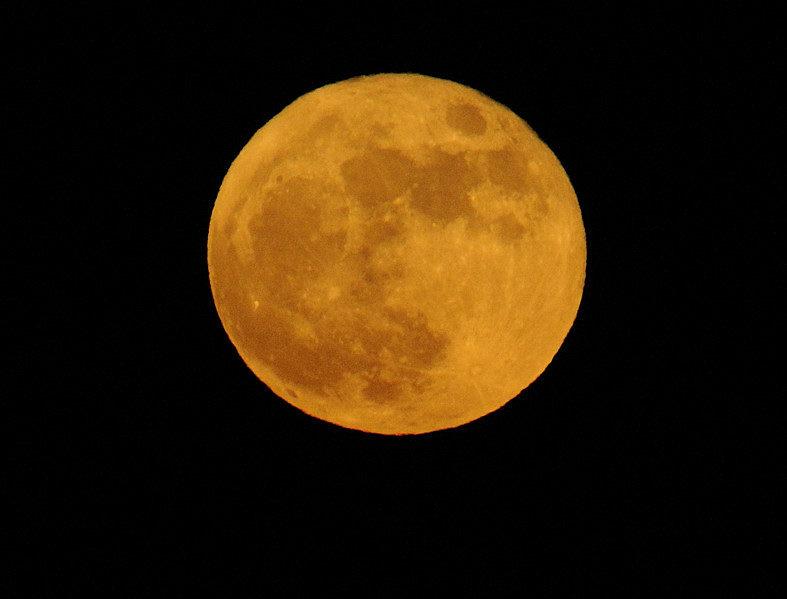 Flower Moon Rising