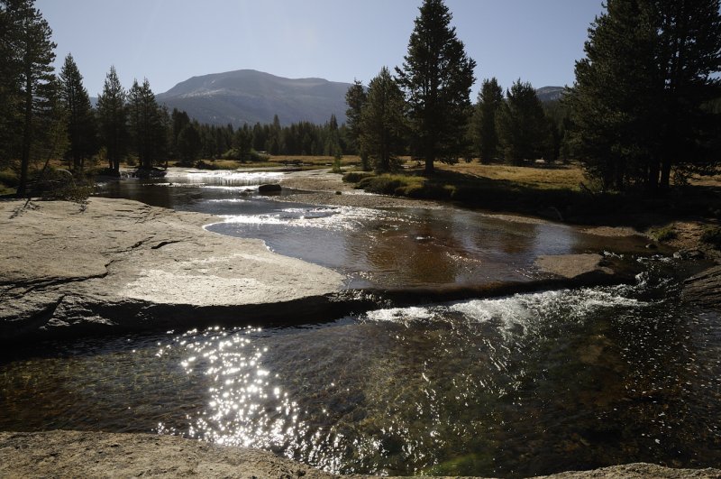 The Lyell Fork