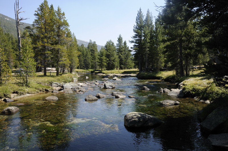 At the Lyell Fork