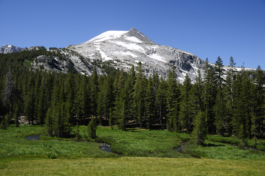 View along the Mono Pass trail