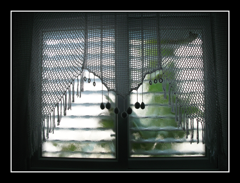 View from my Window