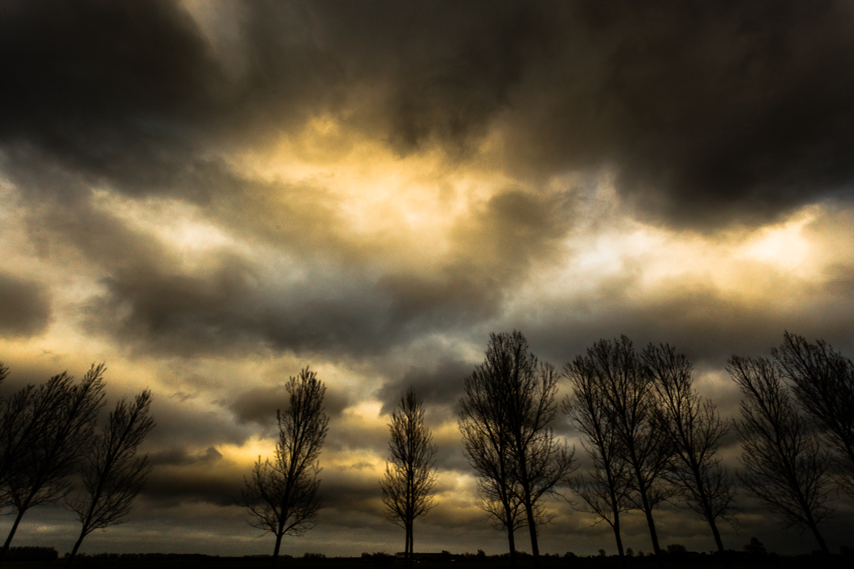 Landscapes: The Netherlands -