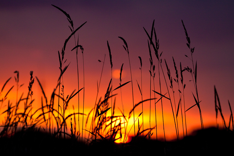 _MG_4569.jpg