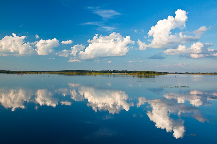 _MG_9811.jpg