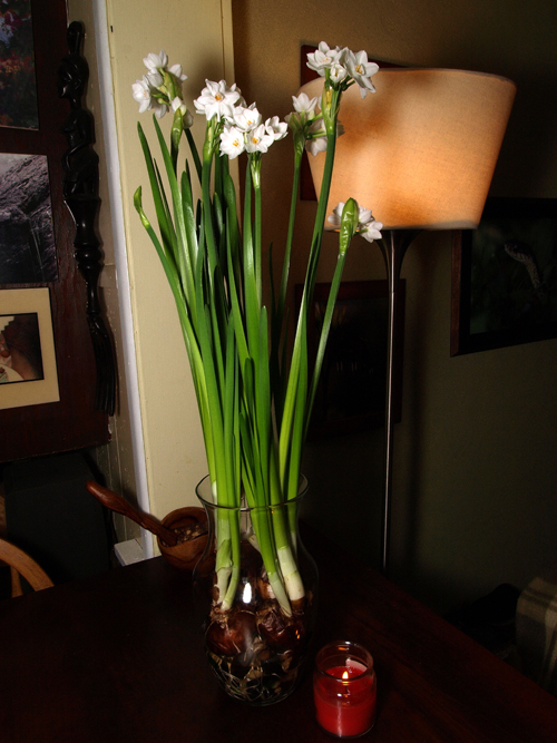 P2093333sm.jpg