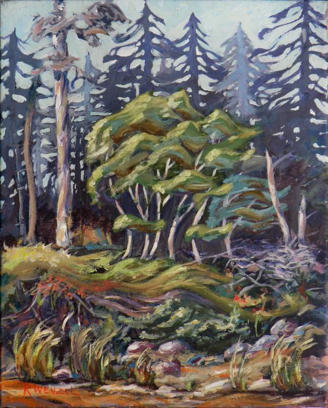 Birch Grove