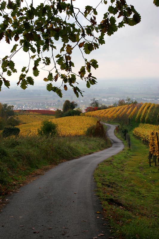 Blick Richtung Laudenbach