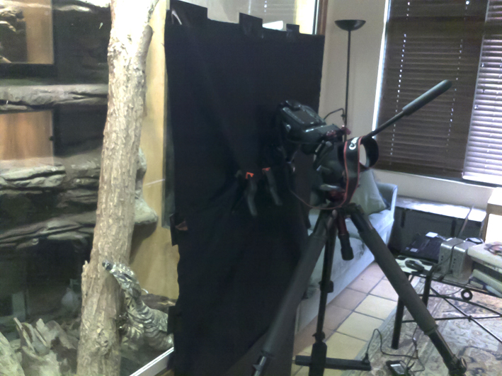 time lapse-1 low res.jpg
