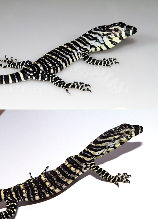 A_2 comparison 2.jpg
