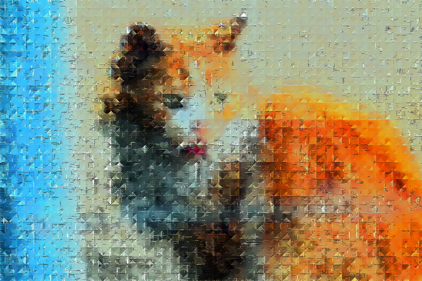 Gato de Estepona