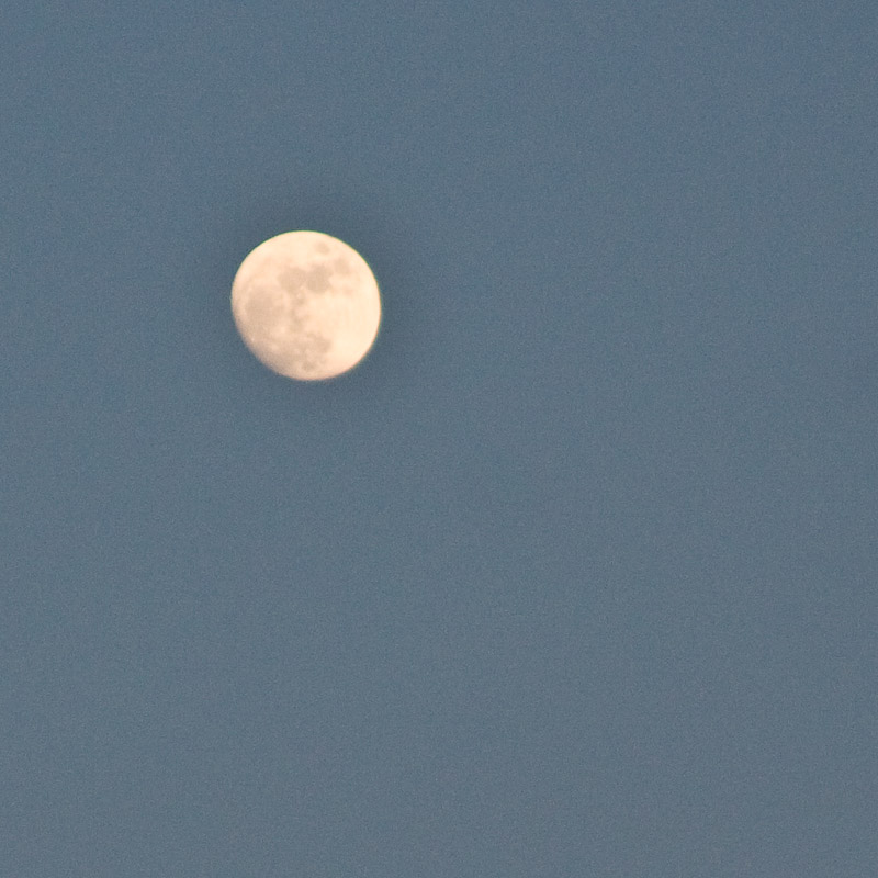 20080517-IMG_6655.jpg