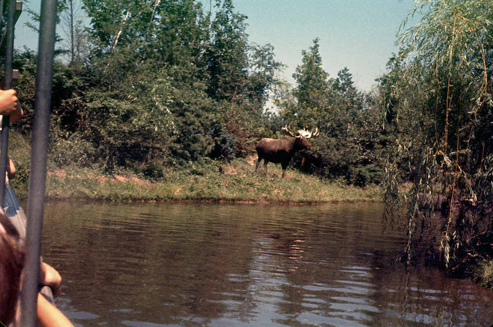 Scene from the Northwest Fur Trapper ride