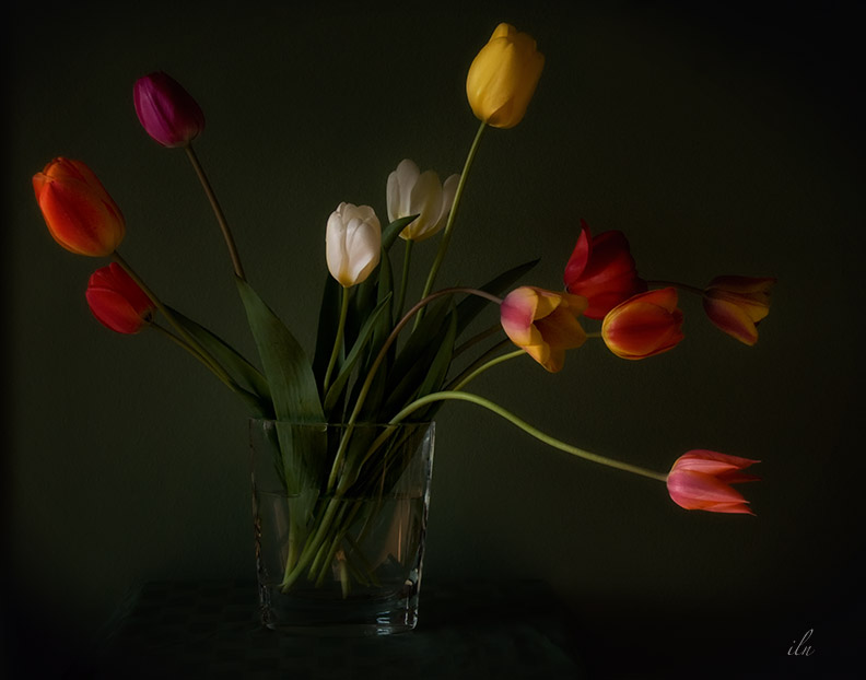 still life