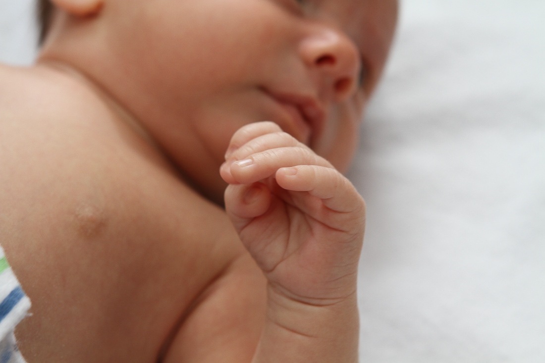 2011-02-21 Noah_P011.jpg