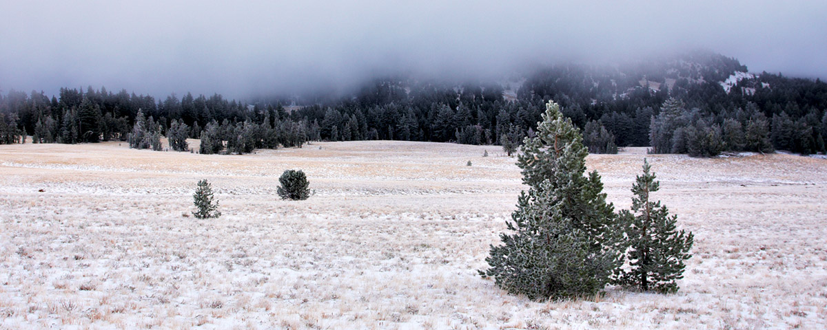 Crater Rim Drive #1