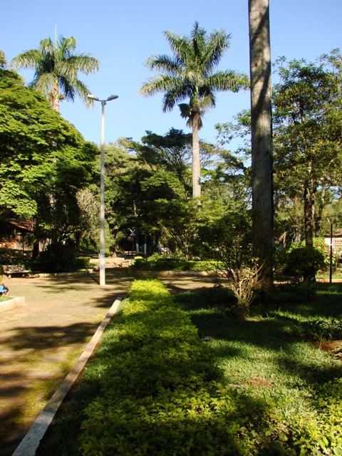DSC07733.JPG