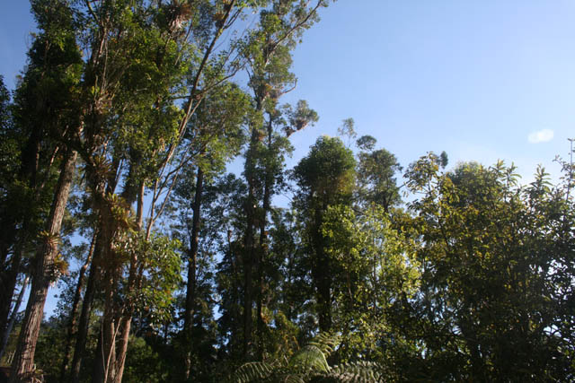 DVD - 15 114.JPG