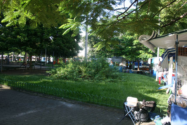 DVD - 15 330.JPG