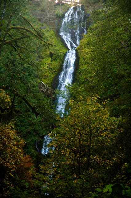 Munson Creek Falls