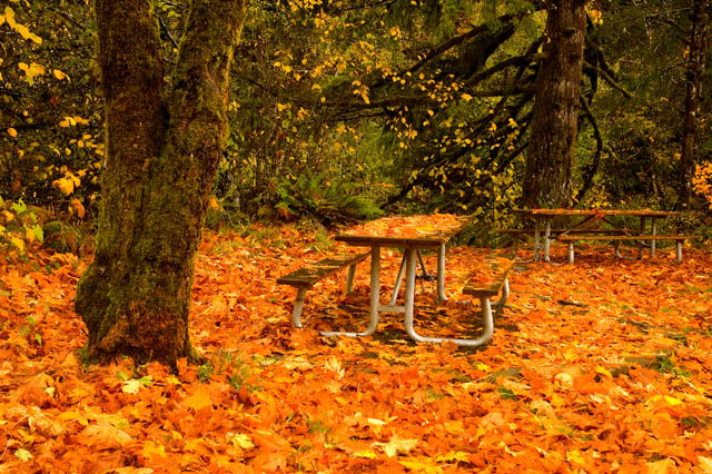 Last Picnic