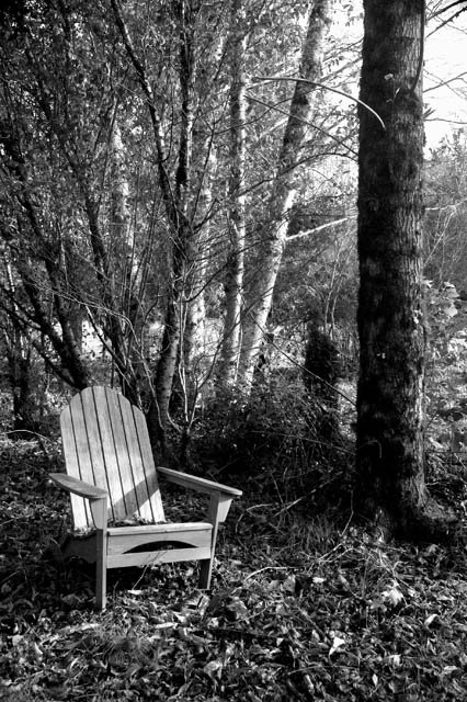 Changing Seasons