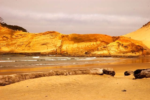 Cape Kiwanda