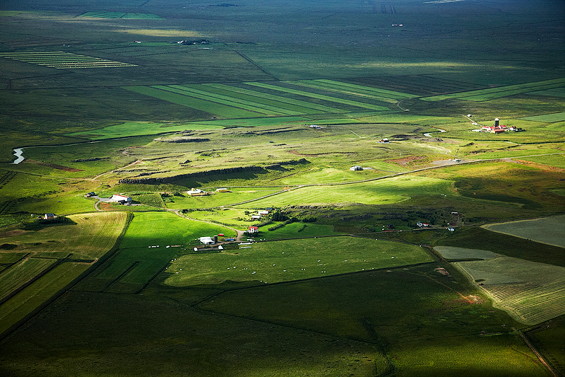 _MG_7010.jpg