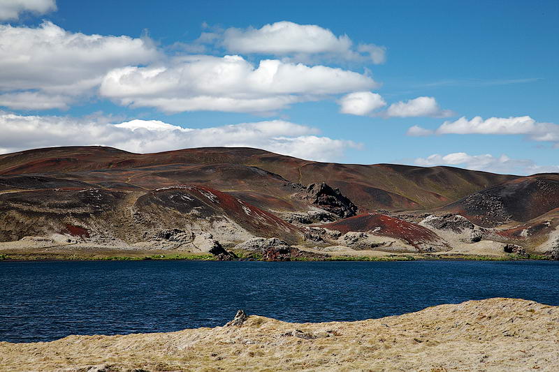 _MG_7132.jpg