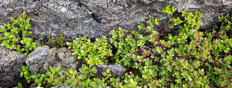 _MG_11893.jpg