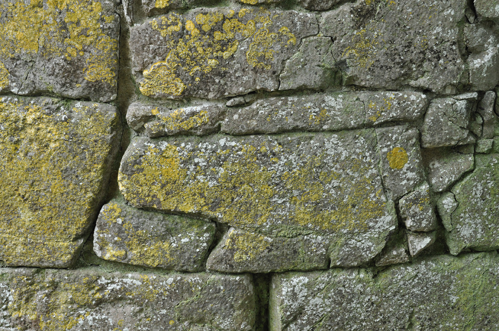 DSC_1065.jpg