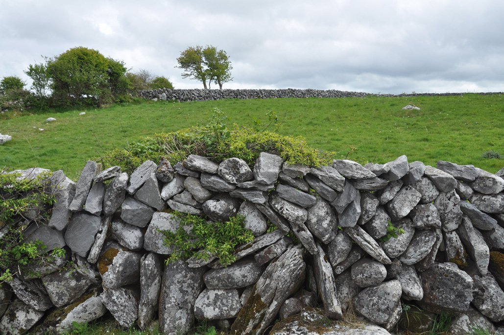 DSC_1145.jpg