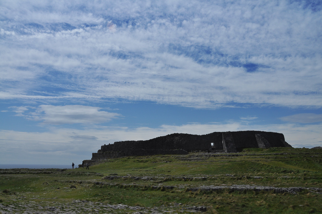 DSC_1309.jpg