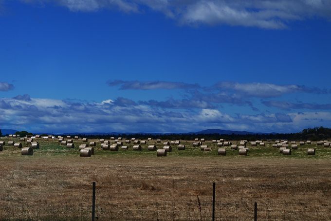 Tasmania