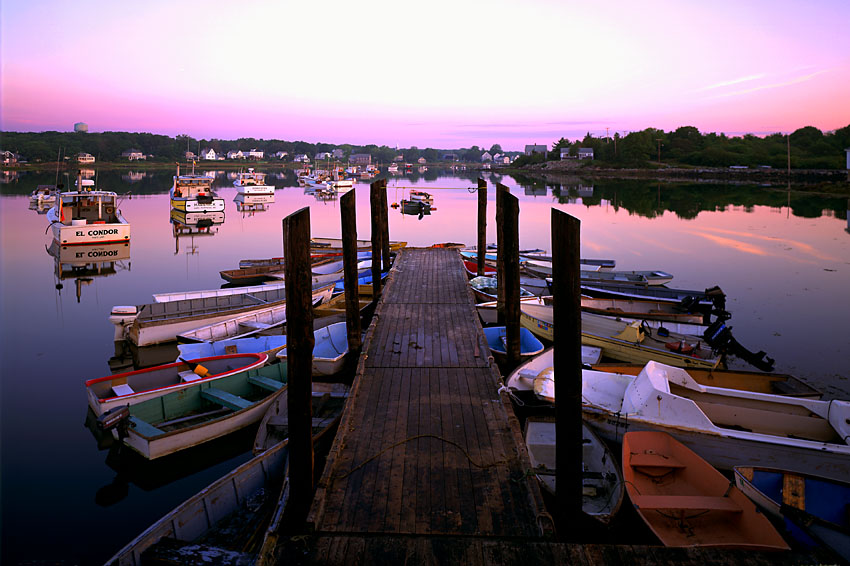 Cape Porpoise Me-5.jpg