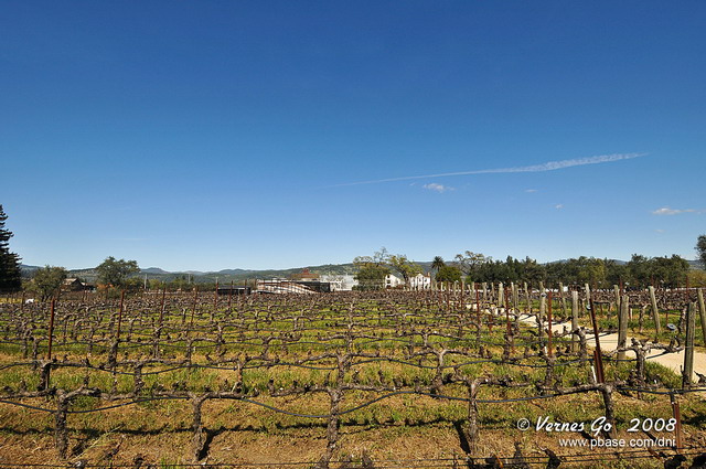 Robert Mondavi Winery D300_06714 copy.jpg