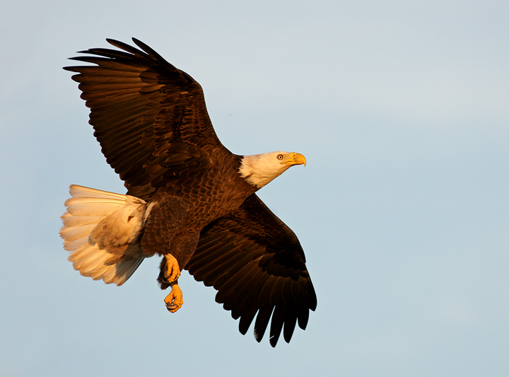 Final approach