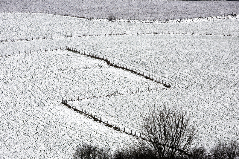 Limburg #4, Netherlands 2008