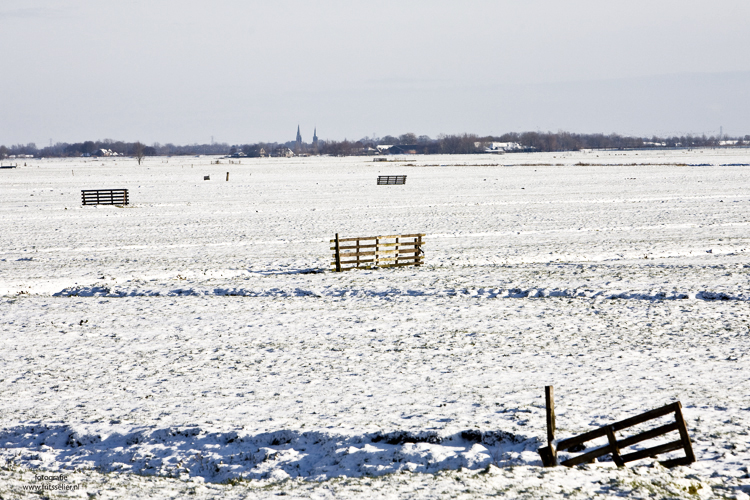 Winter in the polder, december 2009